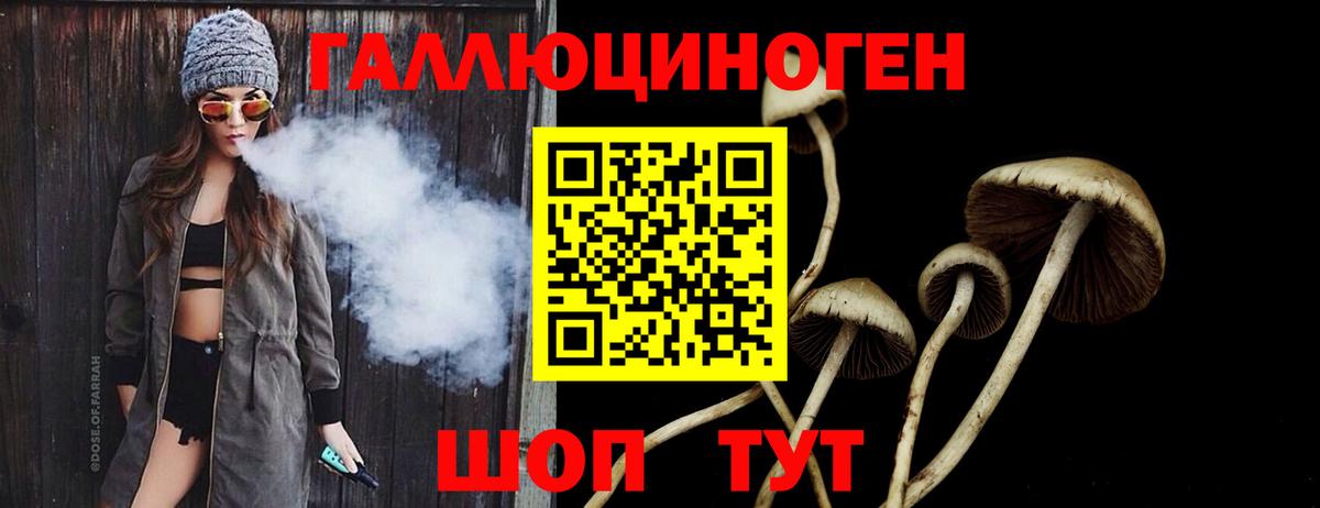 как найти   Вход с VPN  Барнаул  Псилоцибиновые грибы мухоморы 